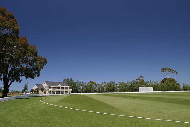 Bert Sutcliffe Oval Ground Pitch Report