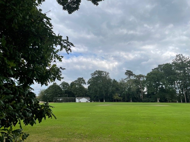 Falkland Cricket Club Pitch Report.