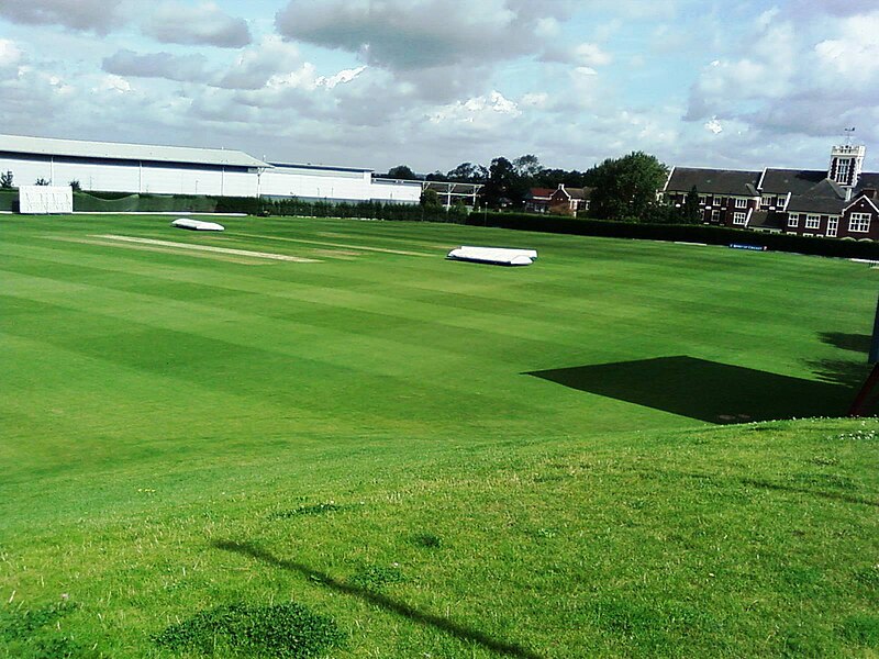 Haslegrave Ground pitch report