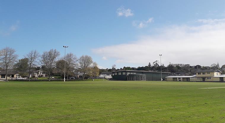 Lloyd Elsmore Park Pitch Report