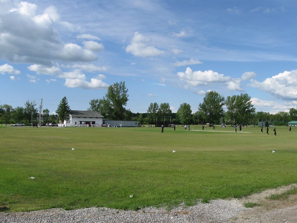 Maple Leaf Cricket Club Pitch Report