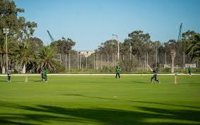 Marsa sports club pitch report