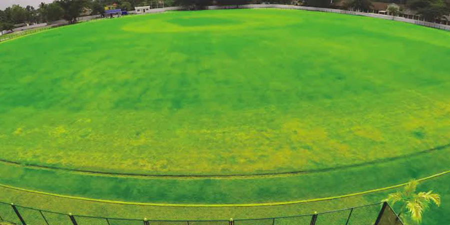 Sanatana Dharma College Ground Pitch Report