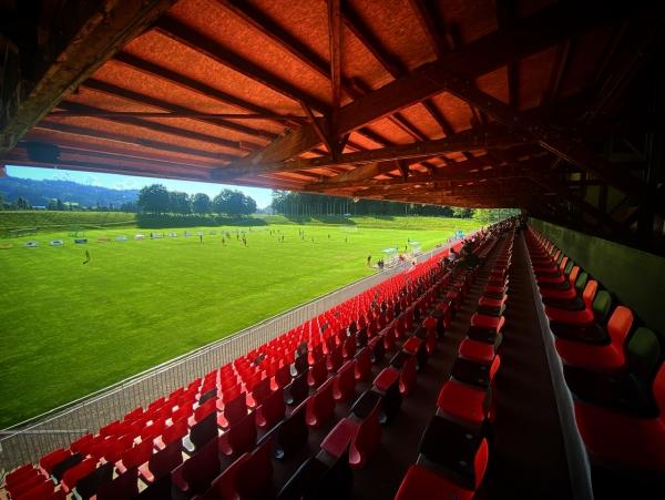 Stadiom Grundenmoos cricket ground pitch report