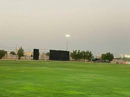 Sulaibiya Cricket Ground pitch report