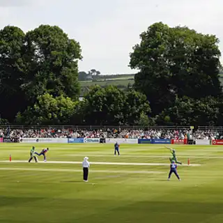 YMCA Cricket Club Pitch Report