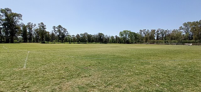 st albans club Pitch Report